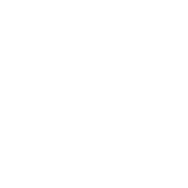 Translation world icon